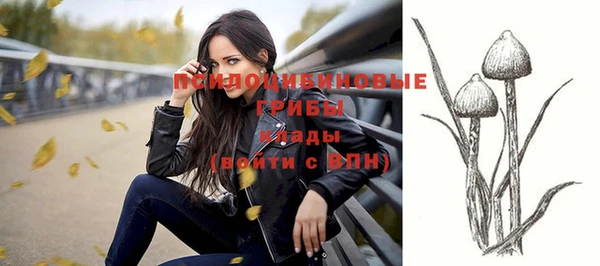 шишки Верхний Тагил