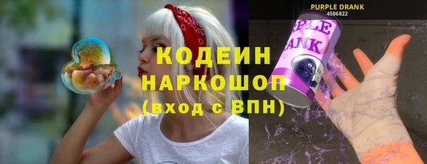 шишки Верхний Тагил