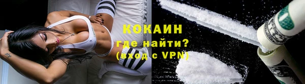 шишки Верхний Тагил