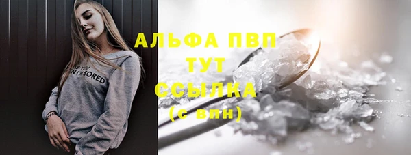 шишки Верхний Тагил