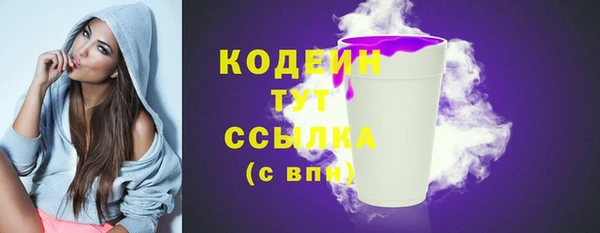 шишки Верхний Тагил