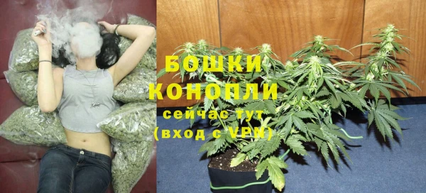шишки Верхний Тагил