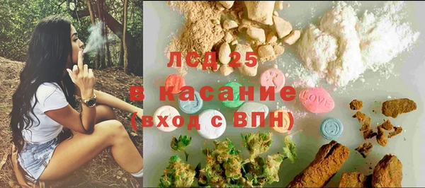 шишки Верхний Тагил