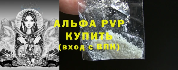 шишки Верхний Тагил