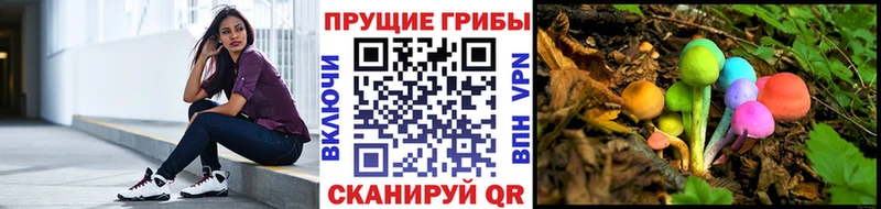 Псилоцибиновые грибы Psilocybe  Купить где  Сердобск 